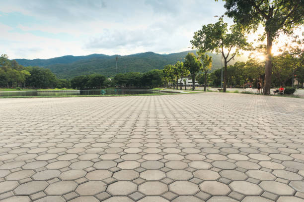 Best Driveway Paving Contractor  in Blountsville, AL